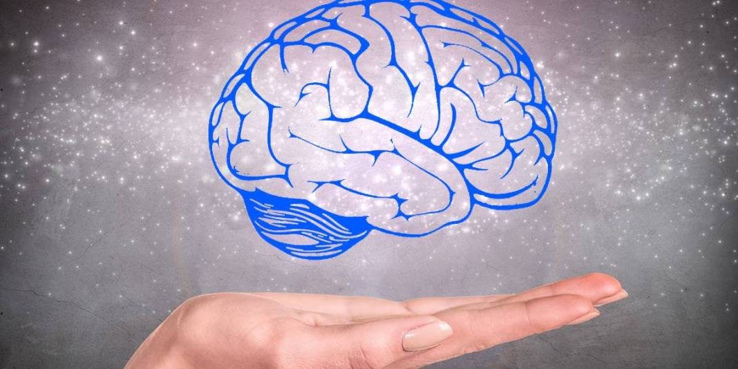 Ne balık ne ceviz! Beyin sağlığı için bilim insanları bunu öneriyor: Bir çay kaşığı bile yemek yeterli 5